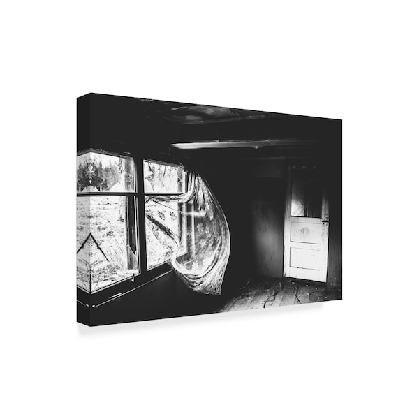 Eduards 'Open Window' Canvas Art,30x47